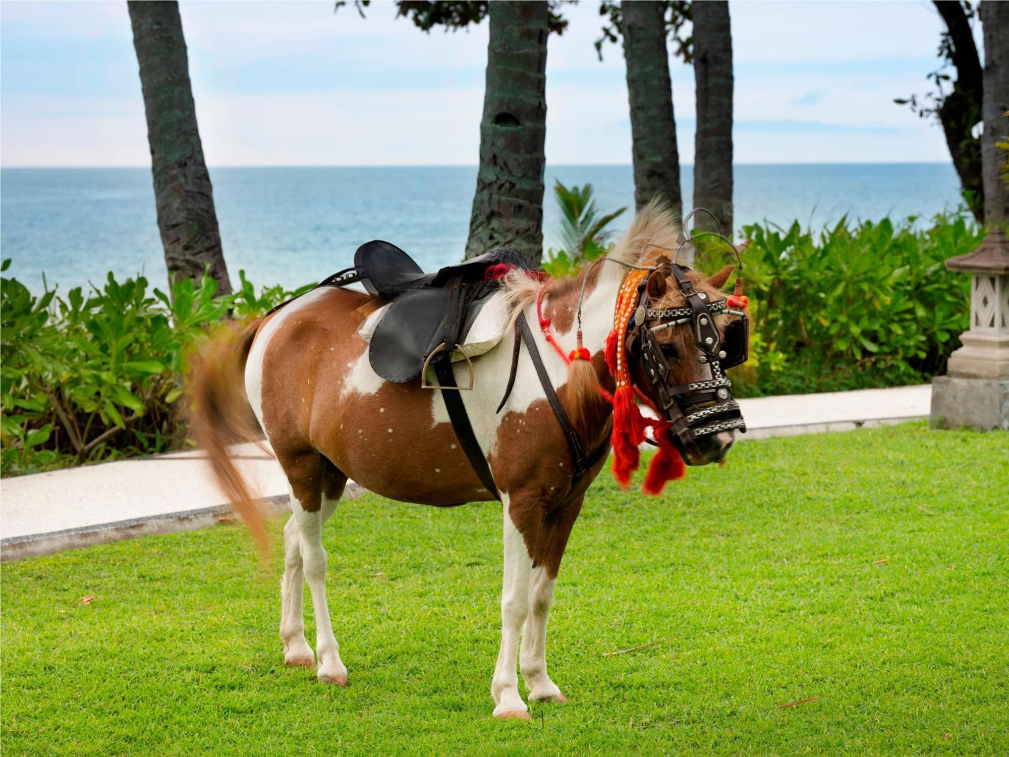 Mangsit Suites By Holiday Resort Lombok 外观 照片